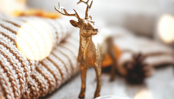 11 Winter Essentials I Swear By for Surviving (and Styling) a Small Space