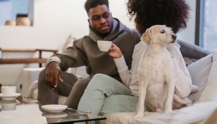 How I Built a Capsule Coffee Station for My Tiny Apartment (And It’s Actually Cute)